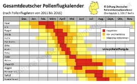 Pollenflugkalender20112016